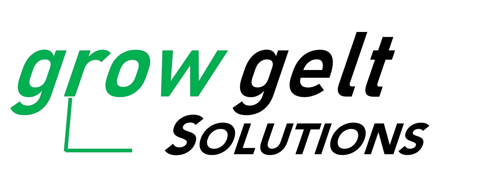 Grow Gelt Chabad Lubavitch Shluchim Leadership - Marc A. Pitman client